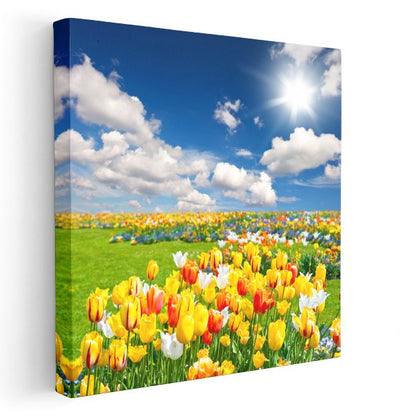 Lale Bahçesi - Mavi Gökyüzü Altında Renkli Çiçek Tarlası Kanvas Tablo