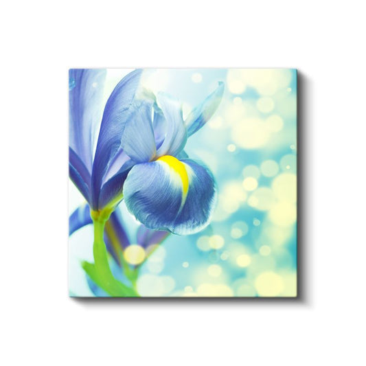 Mavi İris - Işıltılı Fonda Zarif Çiçek Portresi Kanvas Tablo