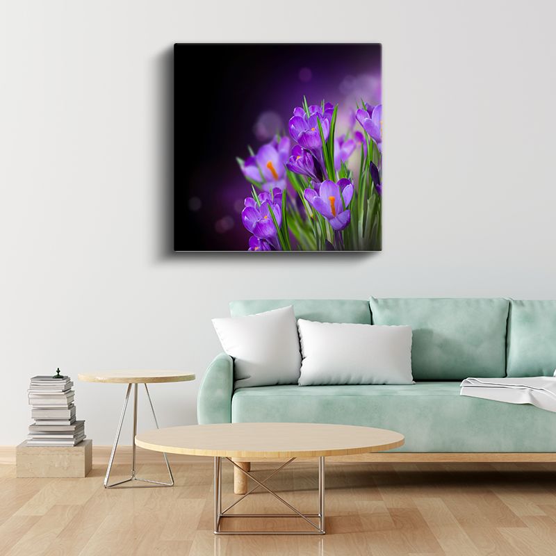 Mor Krokuslar - Koyu Fonda Bahar Çiçekleri Kanvas Tablo