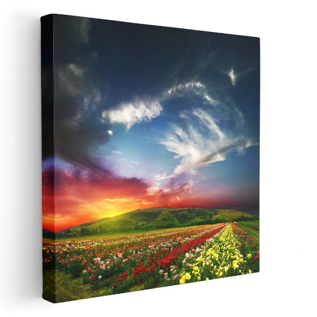 Çiçek Tarlası Manzarası - Gün Batımında Renkli Çiçekler Kanvas Tablo