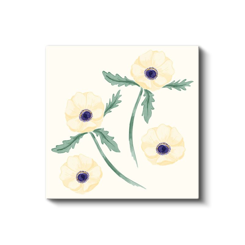 Krem Gelincikler - Minimalist Botanik İllüstrasyon Kanvas Tablo
