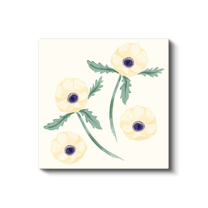 Krem Gelincikler - Minimalist Botanik İllüstrasyon Kanvas Tablo