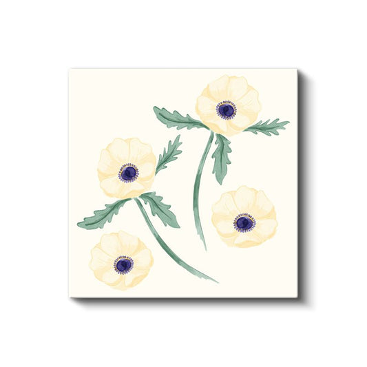 Krem Gelincikler - Minimalist Botanik İllüstrasyon Kanvas Tablo