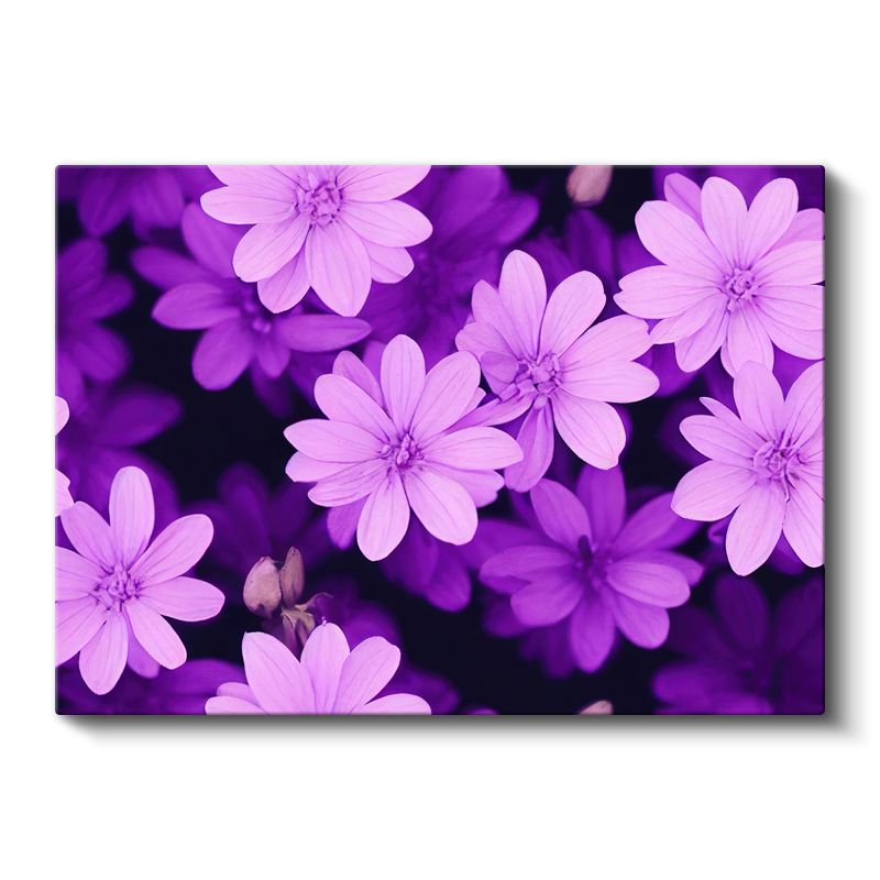 Mor Çiçek Bahçesi - Koyu Fonda Canlı Çiçek Portresi Kanvas Tablo