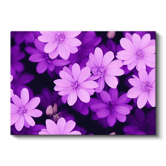 Mor Çiçek Bahçesi - Koyu Fonda Canlı Çiçek Portresi Kanvas Tablo