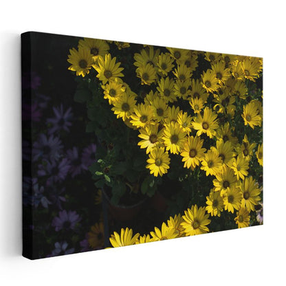 Sarı Papatyalar - Koyu Fonda Parlak Çiçek Buketi Kanvas Tablo