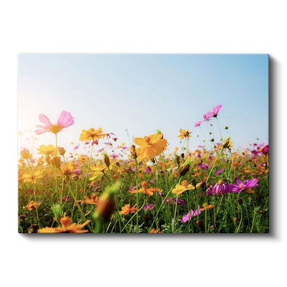 Kır Çiçekleri Manzarası - Mavi Gökyüzü Altında Renkli Çiçekler Kanvas Tablo