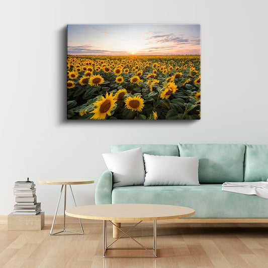 Altın Ayçiçekleri - Gün Batımında Çiçek Tarlası Kanvas Tablo