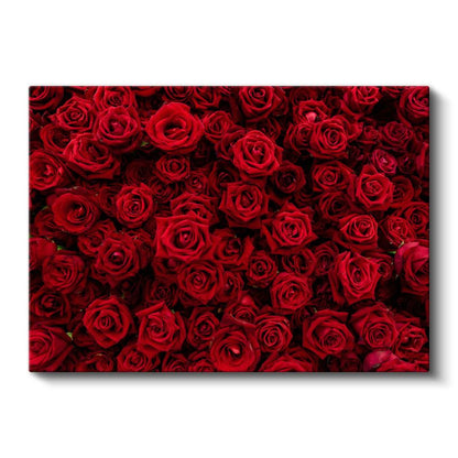 Kırmızı Gül Denizi - Kadife Dokulu Çiçek Kolajı Kanvas Tablo