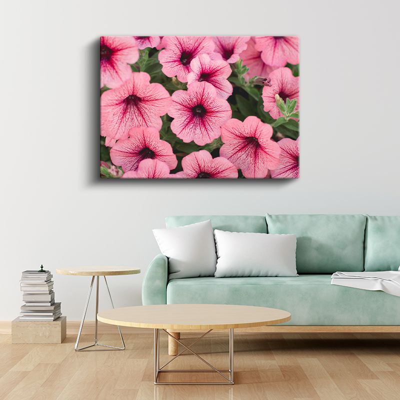 Pembe Petunya Çiçekleri - Damar Desenli Narin Çiçek Koleksiyonu Kanvas Tablo