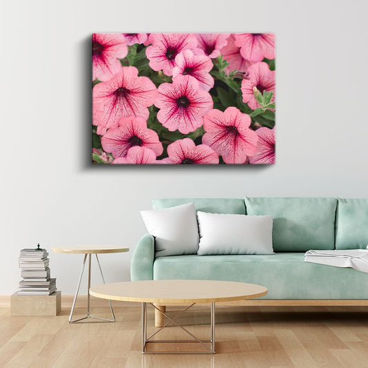Pembe Petunya Çiçekleri - Damar Desenli Narin Çiçek Koleksiyonu Kanvas Tablo