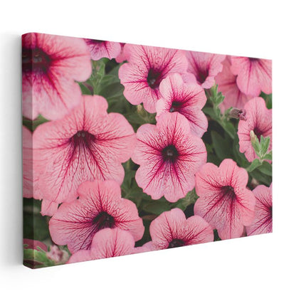 Pembe Petunya Çiçekleri - Damar Desenli Narin Çiçek Koleksiyonu Kanvas Tablo