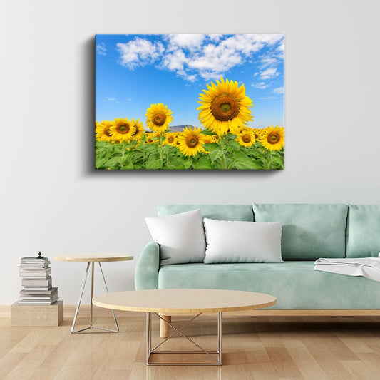 Altın Ayçiçeği Tarlası - Mavi Gökyüzü Altında Güneşe Dönen Çiçekler Kanvas Tablo