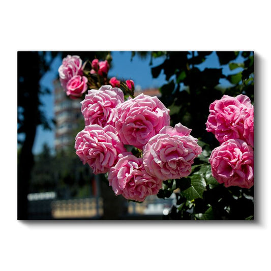 Pembe Gül Buketi - Mavi Gökyüzü Altında Romantik Çiçek Aranjmanı Kanvas Tablo