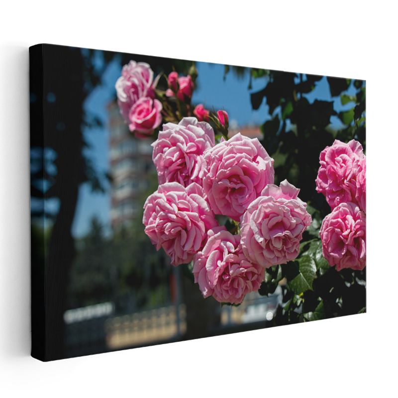 Pembe Gül Buketi - Mavi Gökyüzü Altında Romantik Çiçek Aranjmanı Kanvas Tablo