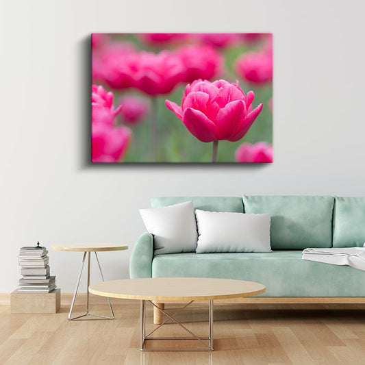 Fuşya Lale - Yumuşak Odak Tekniği ile Çiçek Portresi Kanvas Tablo