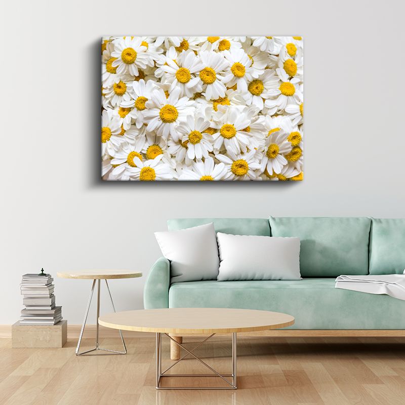 Beyaz Papatya Denizi - Altın Merkezli Saf Beyaz Çiçekler Kanvas Tablo