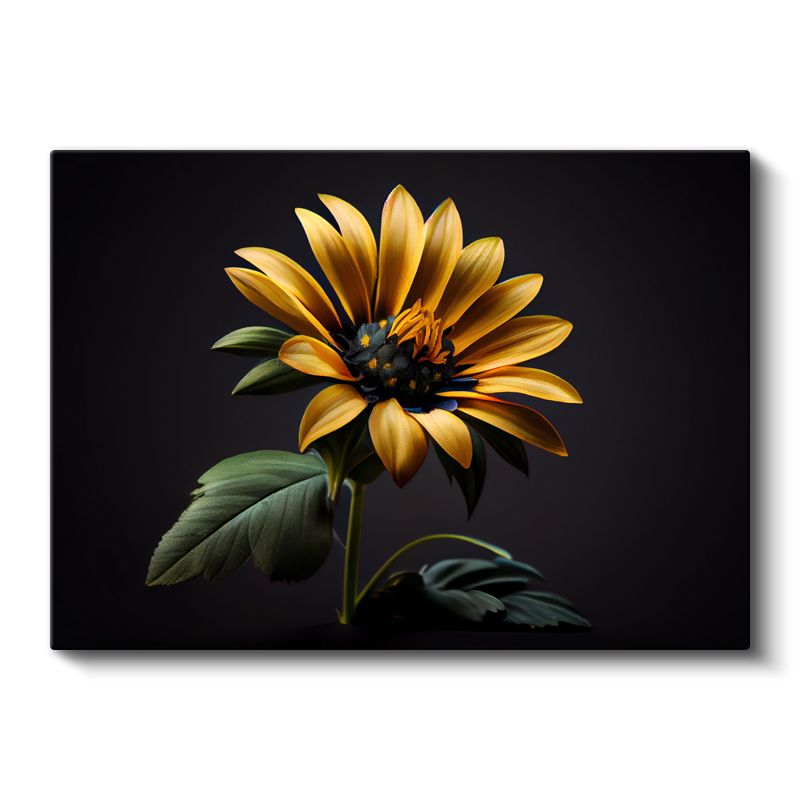 Dramatik Ayçiçeği - Siyah Fonda Altın Sarısı Çiçek Portresi Kanvas Tablo