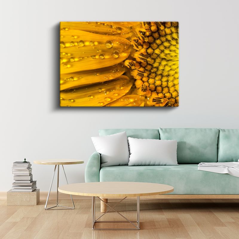 Çiy Damlalı Ayçiçeği - Makro Çekim Sarı Çiçek Detayı Kanvas Tablo