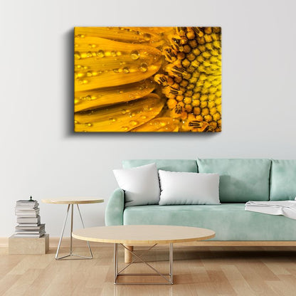 Çiy Damlalı Ayçiçeği - Makro Çekim Sarı Çiçek Detayı Kanvas Tablo