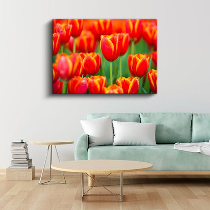 Ateş Laleler - Yeşil Fonda Turuncu Kırmızı Çiçek Bahçesi Kanvas Tablo