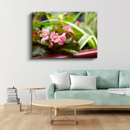 Pembe Begonyalar - Yeşil Yapraklar Arasında Minyatür Çiçekler Kanvas Tablo