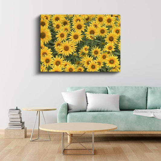 Altın Ayçiçeği Bahçesi - Yoğun Sarı Çiçek Kompozisyonu Kanvas Tablo