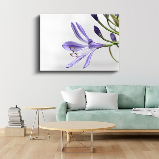 Mor Zambak - Minimalist Beyaz Fonda Zarif Çiçek Portresi Kanvas Tablo