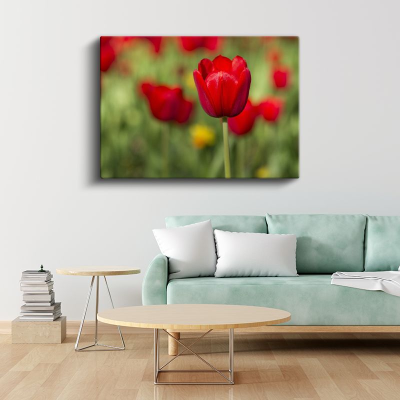 Kırmızı Lale Portresi - Yeşil Bahçe Fonunda Zarif Çiçek Kanvas Tablo