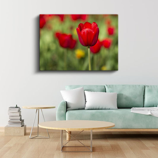 Kırmızı Lale Portresi - Yeşil Bahçe Fonunda Zarif Çiçek Kanvas Tablo