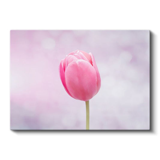 Ateş Kadife Çiçekleri - Dramatik Fonda Turuncu Bahçe Kompozisyonu Kanvas Tablo