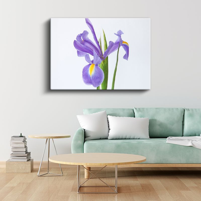 Pembe Yıldızlar - Damarlı Petunya Çiçekleri Kolajı Kanvas Tablo