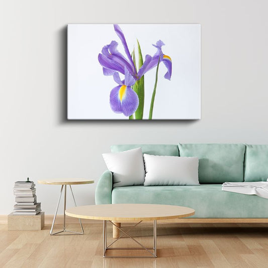 Pembe Yıldızlar - Damarlı Petunya Çiçekleri Kolajı Kanvas Tablo