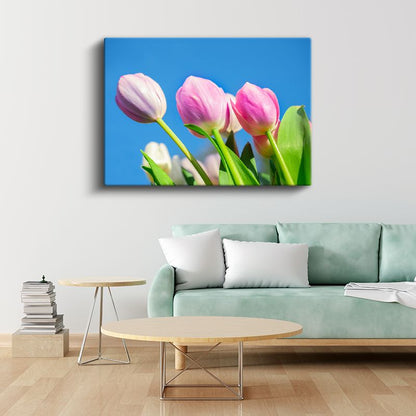 Pembe Kadife Lale - Yumuşak Fonda Zarif Çiçek Detayı Kanvas Tablo
