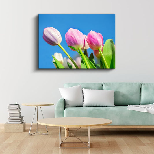 Pembe Kadife Lale - Yumuşak Fonda Zarif Çiçek Detayı Kanvas Tablo