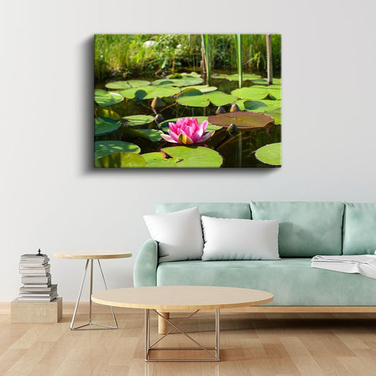 Pembe Nilüfer - Yeşil Yapraklar Arasında Göl Çiçeği Kanvas Tablo