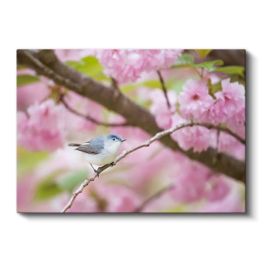 Kiraz Çiçeği - Bahar Dalında Mavi Kuş Kanvas Tablo