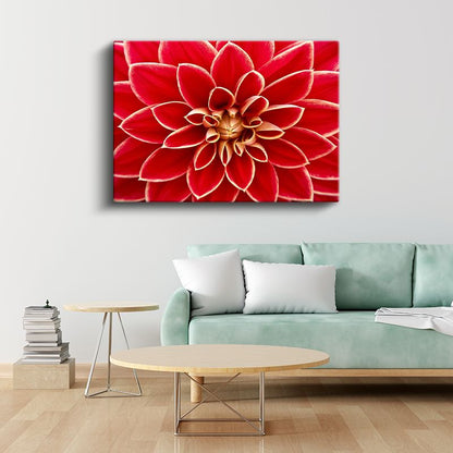 Kırmızı Yıldız Çiçeği - Geometrik Detaylı Makro Çekim Kanvas Tablo