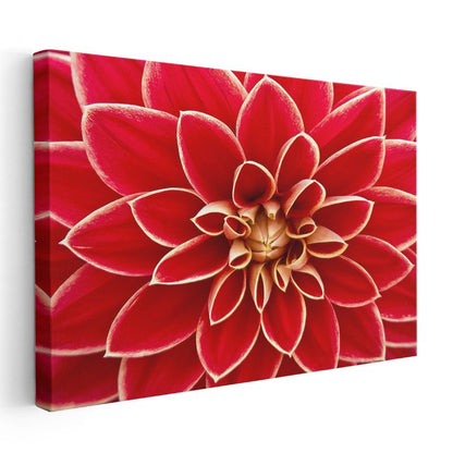 Kırmızı Yıldız Çiçeği - Geometrik Detaylı Makro Çekim Kanvas Tablo