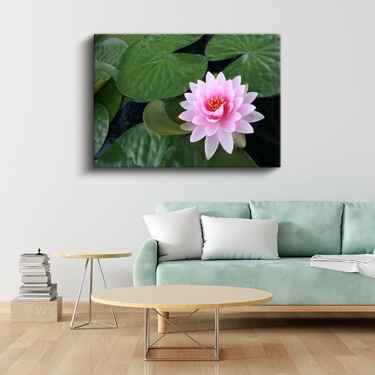 Pembe Nilüfer - Geniş Yapraklar Üzerinde Su Çiçeği Kanvas Tablo