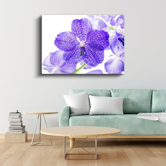 Mor Orkide - Egzotik Desenli Nadir Çiçek Kanvas Tablo