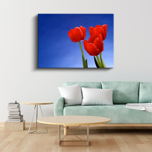 Kırmızı Laleler - Mavi Gökyüzü Altında Bahar Çiçekleri Kanvas Tablo
