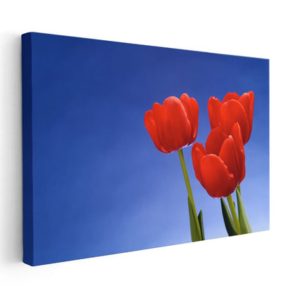 Kırmızı Laleler - Mavi Gökyüzü Altında Bahar Çiçekleri Kanvas Tablo