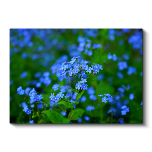 Mavi Unutma Beni - Yeşillikler Arasında Zarif Çiçekler Kanvas Tablo