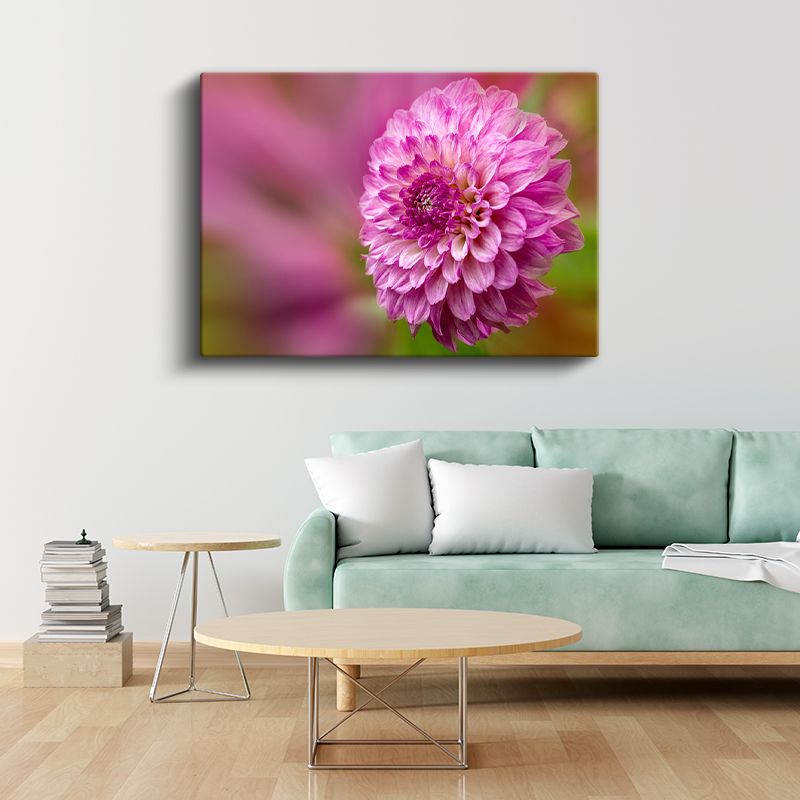 Pembe Yıldız Çiçeği - Detaylı Çiçek Portresi Kanvas Tablo