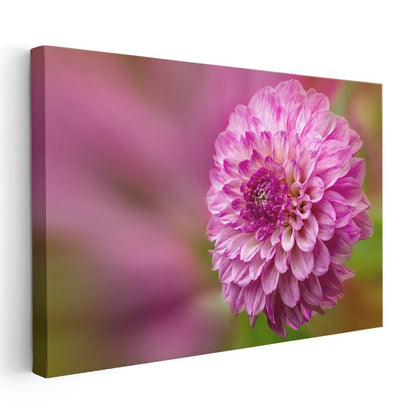 Pembe Yıldız Çiçeği - Detaylı Çiçek Portresi Kanvas Tablo