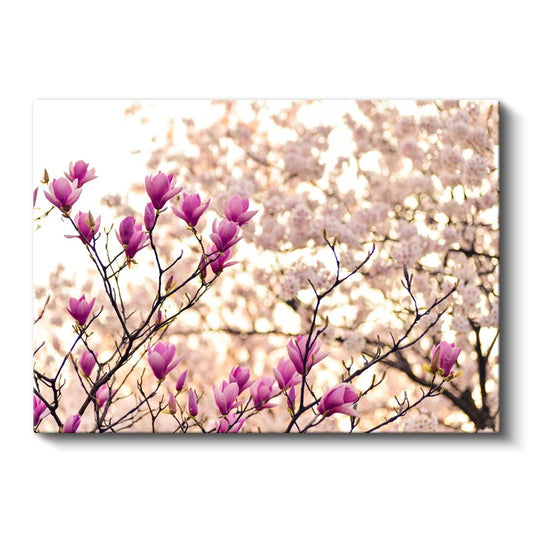 Mor Manolya - Bahar Dallarında Göz Alıcı Çiçekler Kanvas Tablo