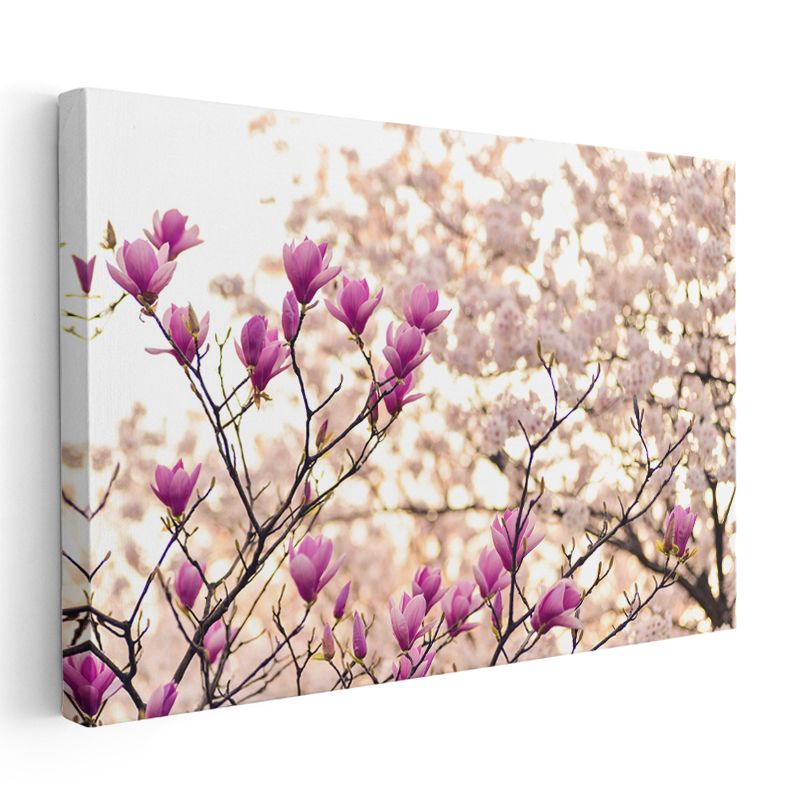 Mor Manolya - Bahar Dallarında Göz Alıcı Çiçekler Kanvas Tablo