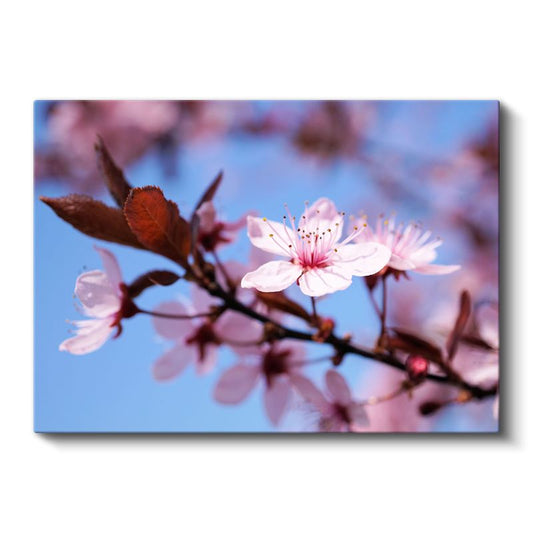 Pembe Gül - Zarif Çiçek Aranjmanı Kanvas Tablo