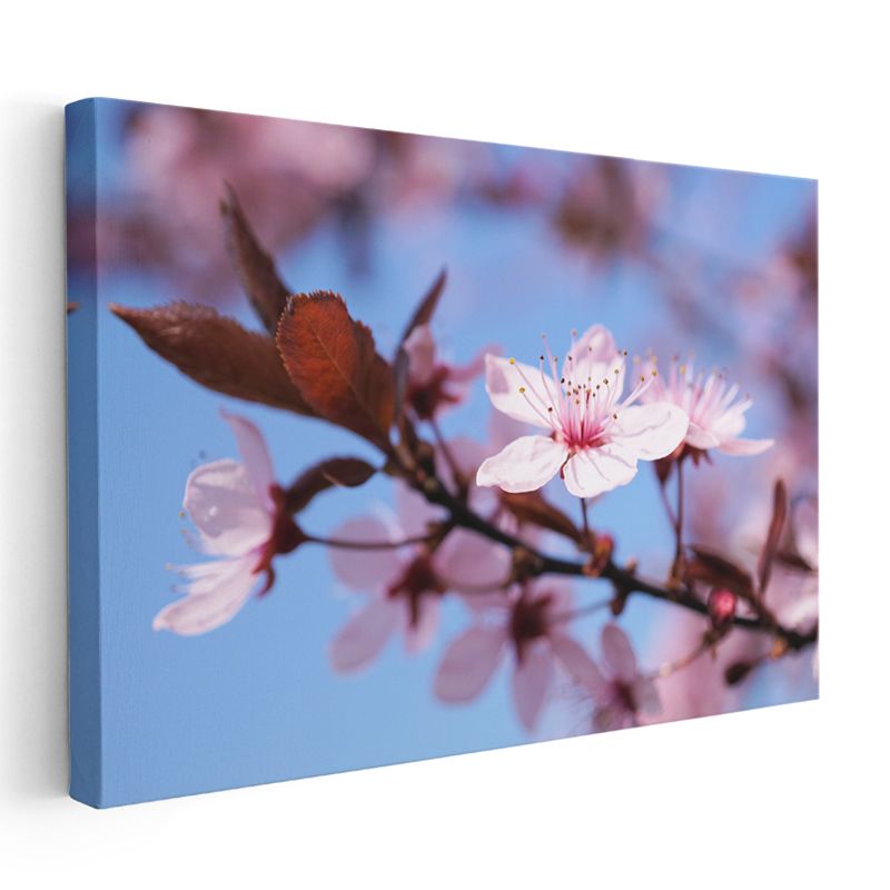 Pembe Gül - Zarif Çiçek Aranjmanı Kanvas Tablo